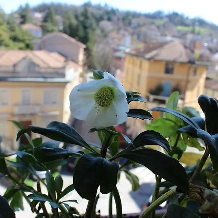 Lägenhet Salso Liberty *