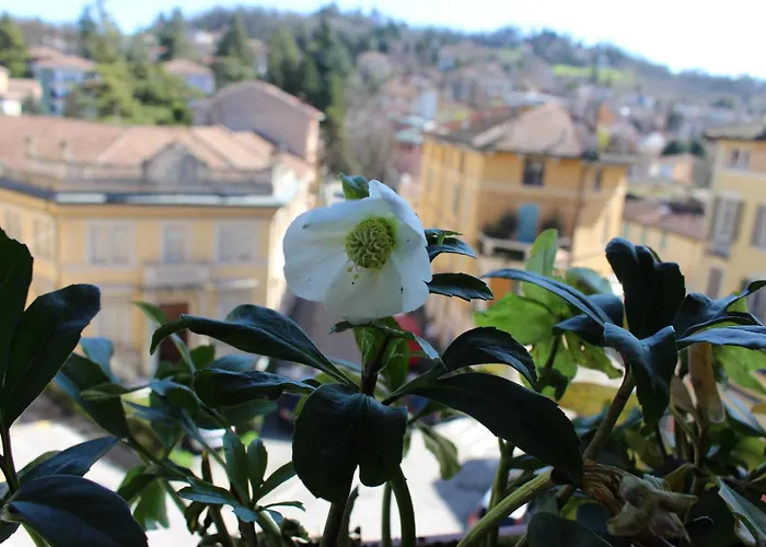 Daire Salso Liberty *